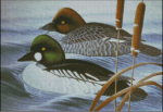(image for) Riding the Ripples